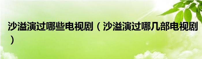 沙溢演过哪些电视剧（沙溢演过哪几部电视剧）
