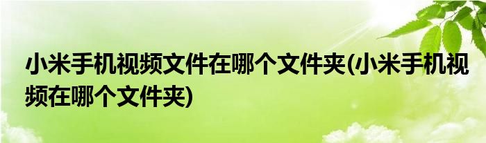 小米手机视频文件在哪个文件夹(小米手机视频在哪个文件夹)