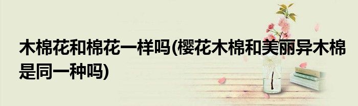 木棉花和棉花一样吗(樱花木棉和美丽异木棉是同一种吗)