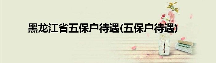 黑龙江省五保户待遇(五保户待遇)