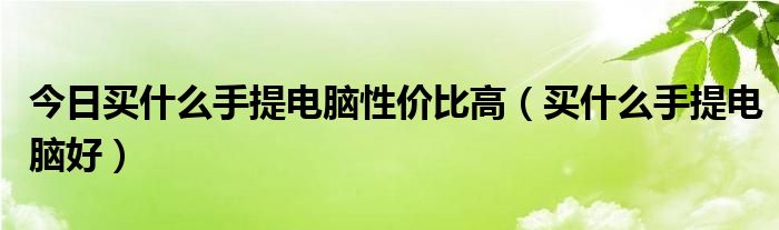 今日买什么手提电脑性价比高（买什么手提电脑好）