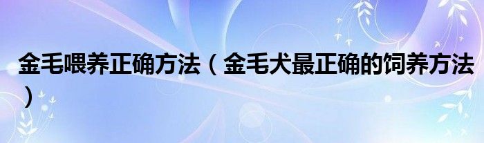 金毛喂养正确方法（金毛犬最正确的饲养方法）