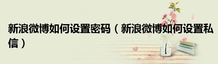 新浪微博如何设置密码（新浪微博如何设置私信）