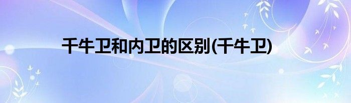千牛卫和内卫的区别(千牛卫)