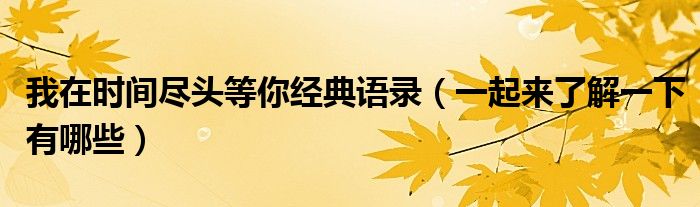 我在时间尽头等你经典语录（一起来了解一下有哪些）
