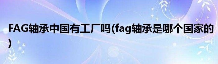 FAG轴承中国有工厂吗(fag轴承是哪个的)