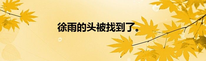 徐雨的头被找到了。
