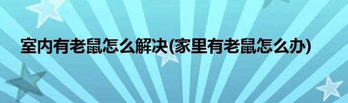 室内有老鼠怎么解决(家里有老鼠怎么办)