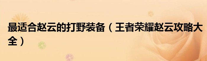 最适合赵云的打野装备（荣耀赵云攻略大全）