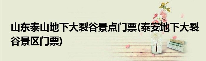 山东泰山地下大裂谷景点门票(泰安地下大裂谷景区门票)