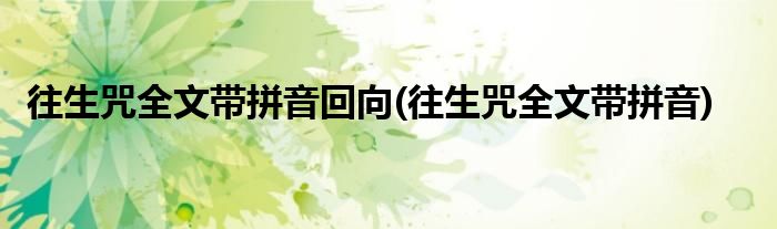 往生咒全文带拼音回向(往生咒全文带拼音)