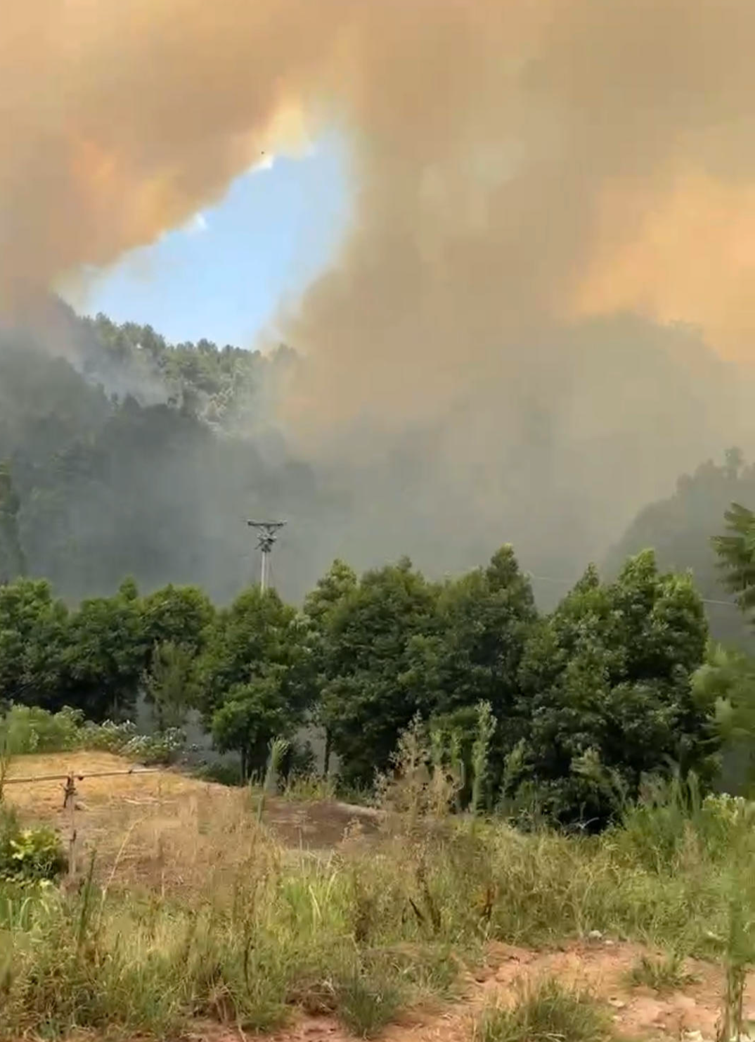 四川泸县龙江峡生态园附近林区发生山火 当地动用飞机灭火，暂无人员伤亡