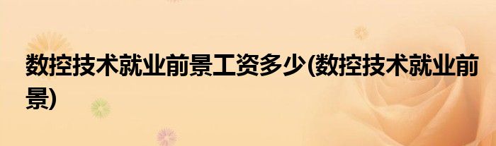 数控技术就业前景工资多少(数控技术就业前景)