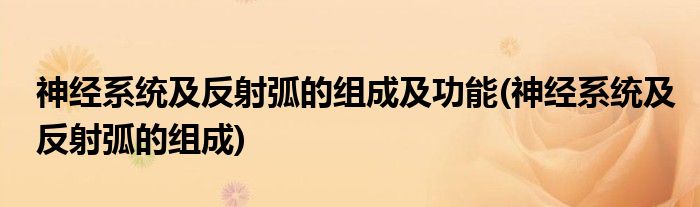 神经系统及反射弧的组成及功能(神经系统及反射弧的组成)