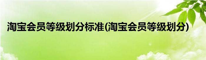 淘宝会员等级划分标准(淘宝会员等级划分)