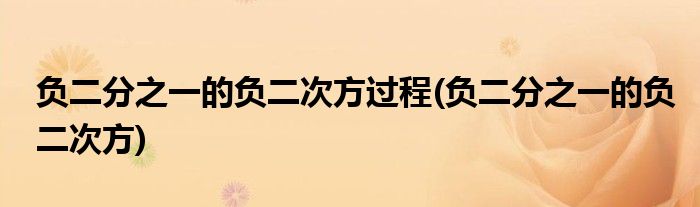 负二分之一的负二次方过程(负二分之一的负二次方)