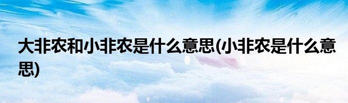 大非农和小非农是什么意思(小非农是什么意思)