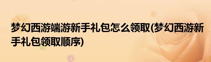 梦幻西游端游新手礼包怎么领取(梦幻西游新手礼包领取顺序)