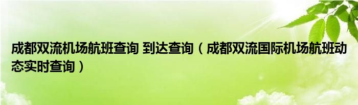 成都双流机场航班查询 到达查询（成都双流国际机场航班动态实时查询）