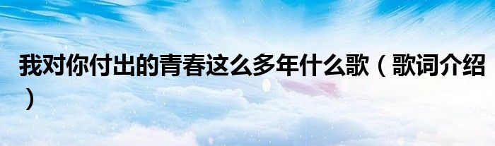 我对你付出的青春这么多年什么歌（歌词介绍）