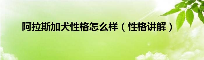 阿拉斯加犬性格怎么样（性格讲解）