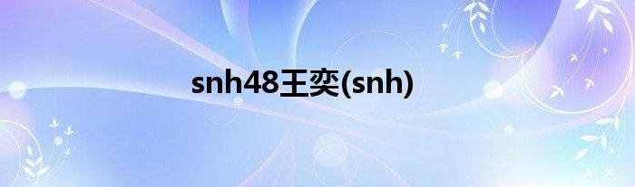 snh48王奕(snh)