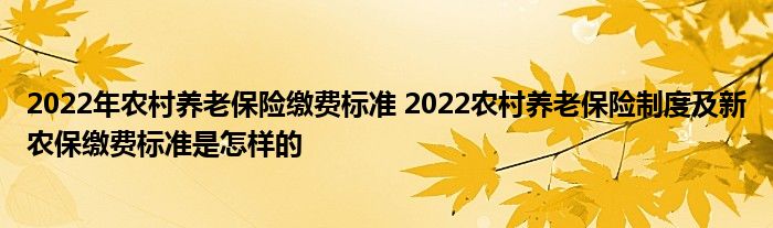 2022年农村养老保险缴费标准 2022农村养老保险制度及新农保缴费标准是怎样的