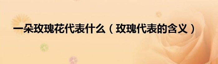 一朵玫瑰花代表什么（玫瑰代表的含义）