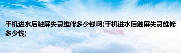 手机进水后触屏失灵维修多少钱啊(手机进水后触屏失灵维修多少钱)