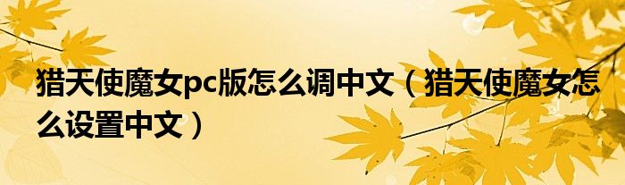 猎天使魔女pc版怎么调中文（猎天使魔女怎么设置中文）
