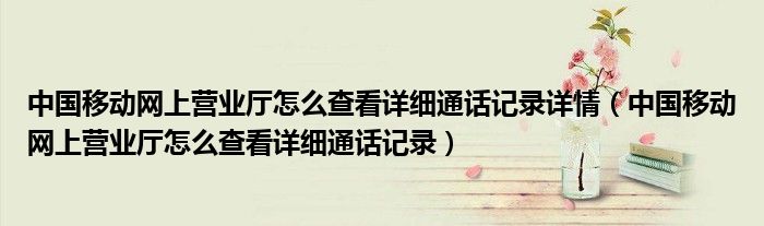 中国移动网上营业厅怎么查看详细通话记录详情（中国移动网上营业厅怎么查看详细通话记录）