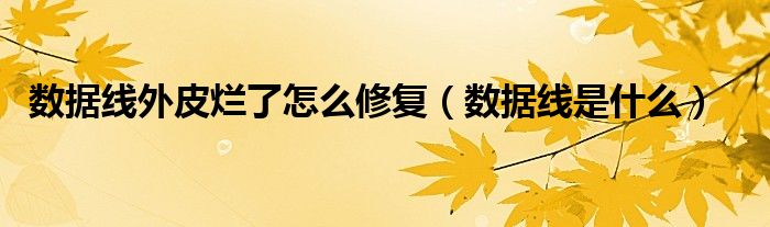 数据线外皮烂了怎么修复（数据线是什么）