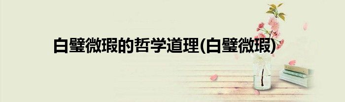 白璧微瑕的哲学道理(白璧微瑕)