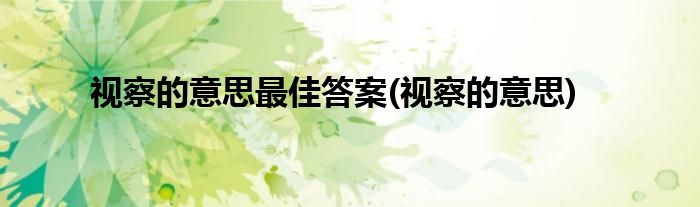 视察的意思更佳答案(视察的意思)