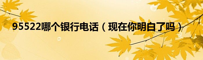 95522哪个银行电话（现在你明白了吗）