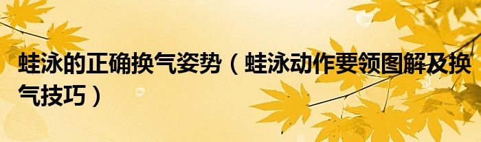 蛙泳的正确换气姿势（蛙泳动作要领图解及换气技巧）