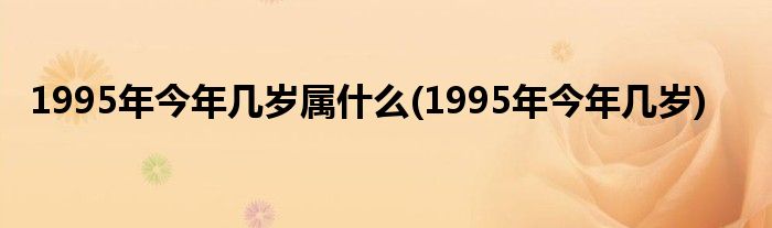 1995年今年几岁属什么(1995年今年几岁)