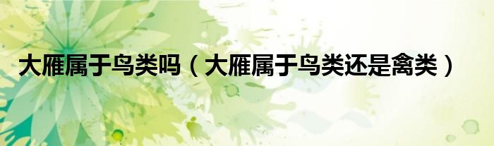 大雁属于鸟类吗（大雁属于鸟类还是禽类）