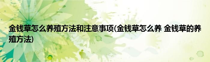 金钱草怎么养殖方法和注意事项(金钱草怎么养 金钱草的养殖方法)