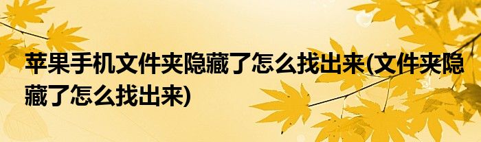 苹果手机文件夹隐藏了怎么找出来(文件夹隐藏了怎么找出来)