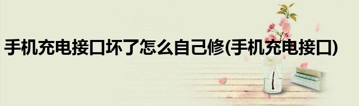 手机充电接口坏了怎么自己修(手机充电接口)