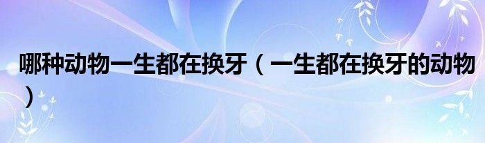 哪种动物一生都在换牙（一生都在换牙的动物）