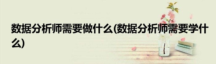数据分析师需要做什么(数据分析师需要学什么)