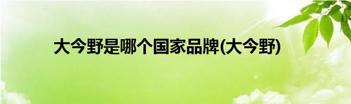 大今野是哪个品牌(大今野)