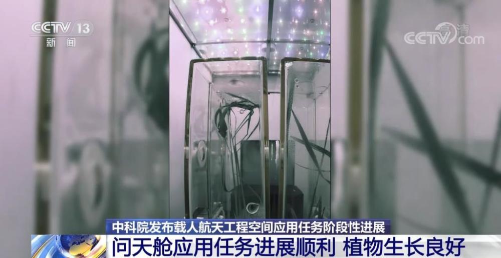 问天实验舱应用任务进展顺利
