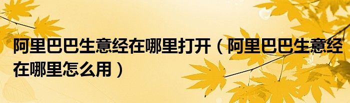 阿里巴巴生意经在哪里打开（阿里巴巴生意经在哪里怎么用）