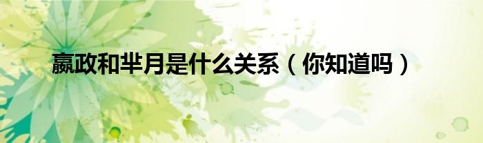 嬴政和芈月是什么关系（你知道吗）