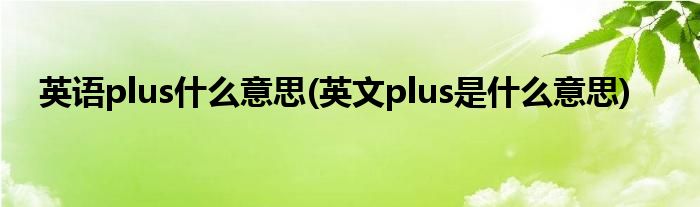 英语plus什么意思(英文plus是什么意思)