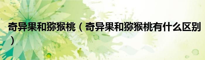 奇异果和猕猴桃（奇异果和猕猴桃有什么区别）