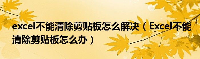 excel不能清除剪贴板怎么解决（Excel不能清除剪贴板怎么办）